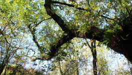 Journal de bord de jeûne #2