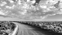 Les chemins de la conscience .