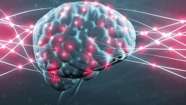 L'humour est le premier des cadeaux qui périt dans une langue étrangère. 