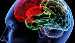 L'humour, c'est un savant dosage d'humeur et d'amour !