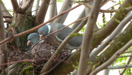 Nos régions ont du talent