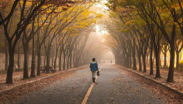 Jour 8  - 30/11/2018