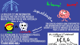 J'ai mal... Je fais quoi ?