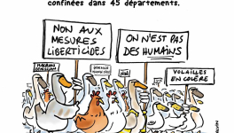 Grippe aviaire le confinement de trop !