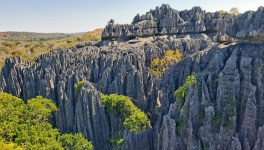 A l'assaut des Baobabs et des Tsingy