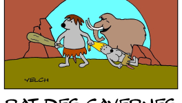 Dans les cavernes , il y avait aussi des rats