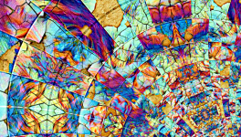 La Xenìa nel mondo greco antico