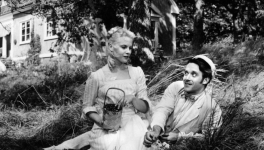 Les fraises sauvages (Smultronstället, Ingmar Bergman, 1957)