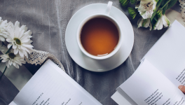 La PAL du mois de Février 2024