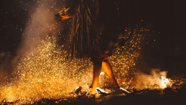 Pour aller plus loin dans le Chamanisme, et à propos des Psychédéliques et Etats Modifiés de Conscience