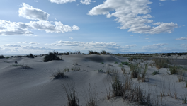 Blabla d'enfer ! : chapitre 6                                                       A un fil !                         