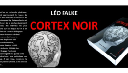 Chapitre 1 : Le nouveau monde