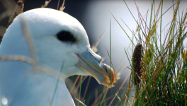 La Liberté dans la chambre