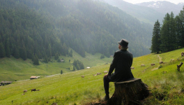 Youth (Paolo Sorrentino, 2015)