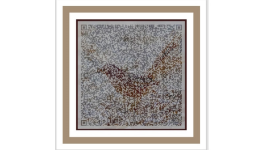 Le ballet du cratérope écaillé