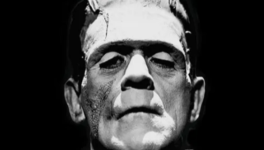 La première greffe... de tête