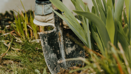 Meurtres, thé vert et jardinage.