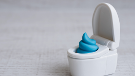 Augustine et l'étron de son fils