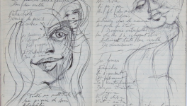 Petits papiers volants -