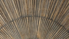 LA TRACE ET LE SIGNE SILENCIEUX