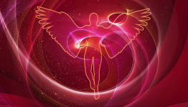 Chapitre 6 - Mon ange gardien