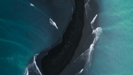 “ sos ; amitié !” cover image de Karsten Winegeart