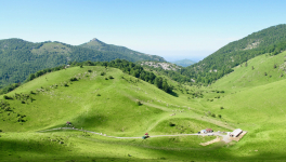 Züberoako artzangoa / Le système pastoral souletin