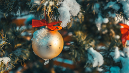 La PAL de Décembre 2022