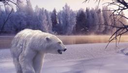 Le clou du spectacle !