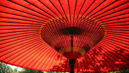 Réflexion de Elizabeth Lim