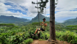 Ultimes jours à Mo’orea