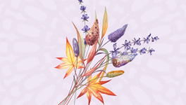 Festina Lente - Chapitre 1