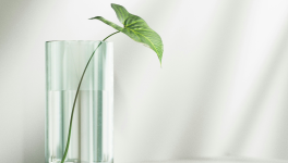 Voulez-vous être remarquable ?