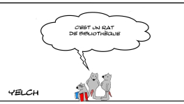 Rat de bibliothèque
