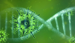 VACCIN QUAND TU NOUS TIENS....