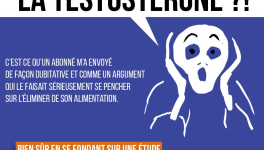 Le sucre fait chuter la testostérone ?!