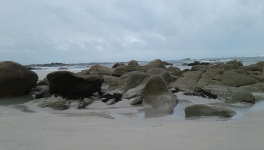 Retrouvez l’harmonie grâce au Qi Gong