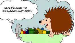 RATPSODIES - BEST OF SUMMER 2023 - 34