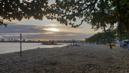 Le goût de l’éphémère