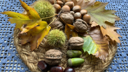 Le jardin du 6 Octobre avec François Coppée