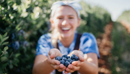 7. Le Temps d'une Cueillette