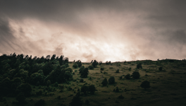 Les mardis de j’aime et je n’aime pas.