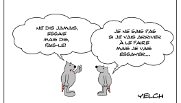 ne pas essayer mais ...faire