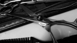 Le coup de ciseaux...