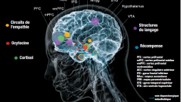 Si l'humour est décapant, c'est qu'il découle d'une alchimie d'esprit et de sel, ce qui le rend irritant aux yeux des vrais semblants comme des fausses sceptiques !