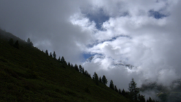 Première partie (2010)