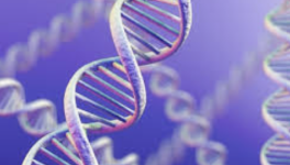 T..hérapie génique