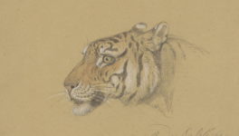 Le tigre qui s'était déguisé en chat