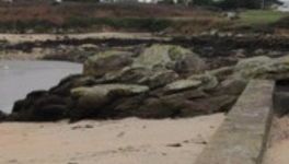 Les bouiquinistes de la région, ceux de la rue Danton...