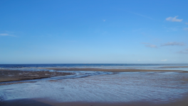 Symbolique du papillon (10) : Tribulations